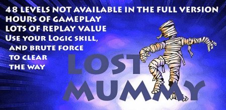 Lost  Mummy